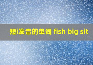 短i发音的单词 fish big sit